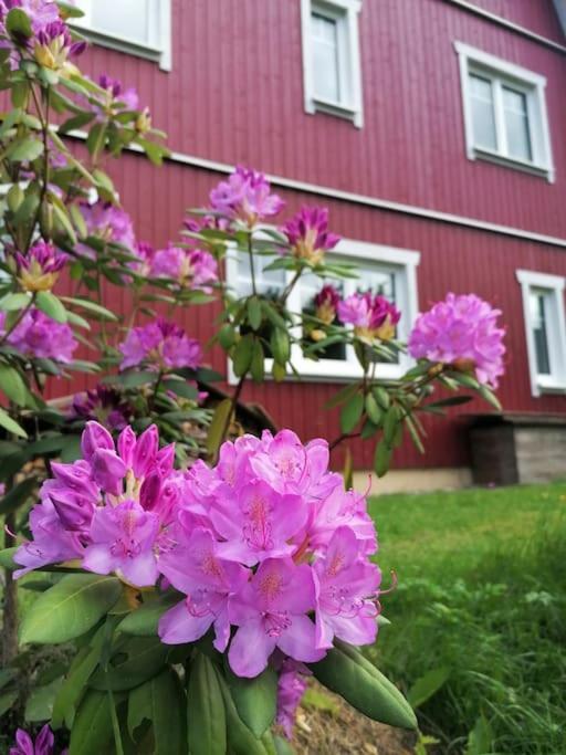 Haus Gruenfels Apartment Murau Exterior foto